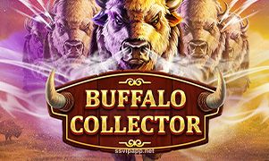 Imagem oficial do jogo Buffalo Collector disponível no ssvip app